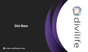 Divi Bars
