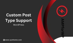 AMP Custom Post Type