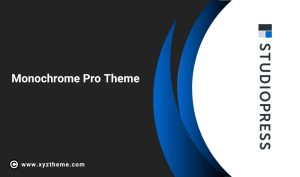 Monochrome Pro Theme