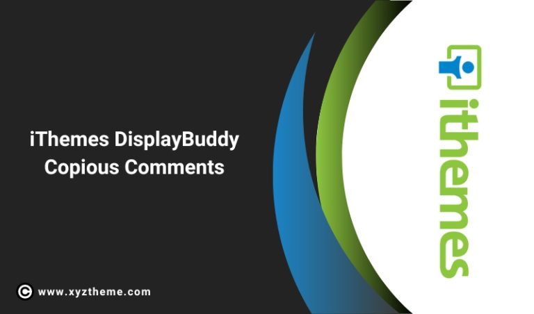 iTheme DisplayBuddy Copious Comments