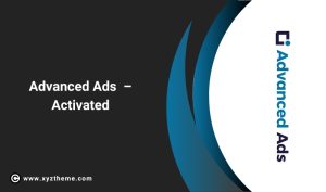 Advanced Ads – Activated