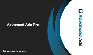 Advanced Ads Pro