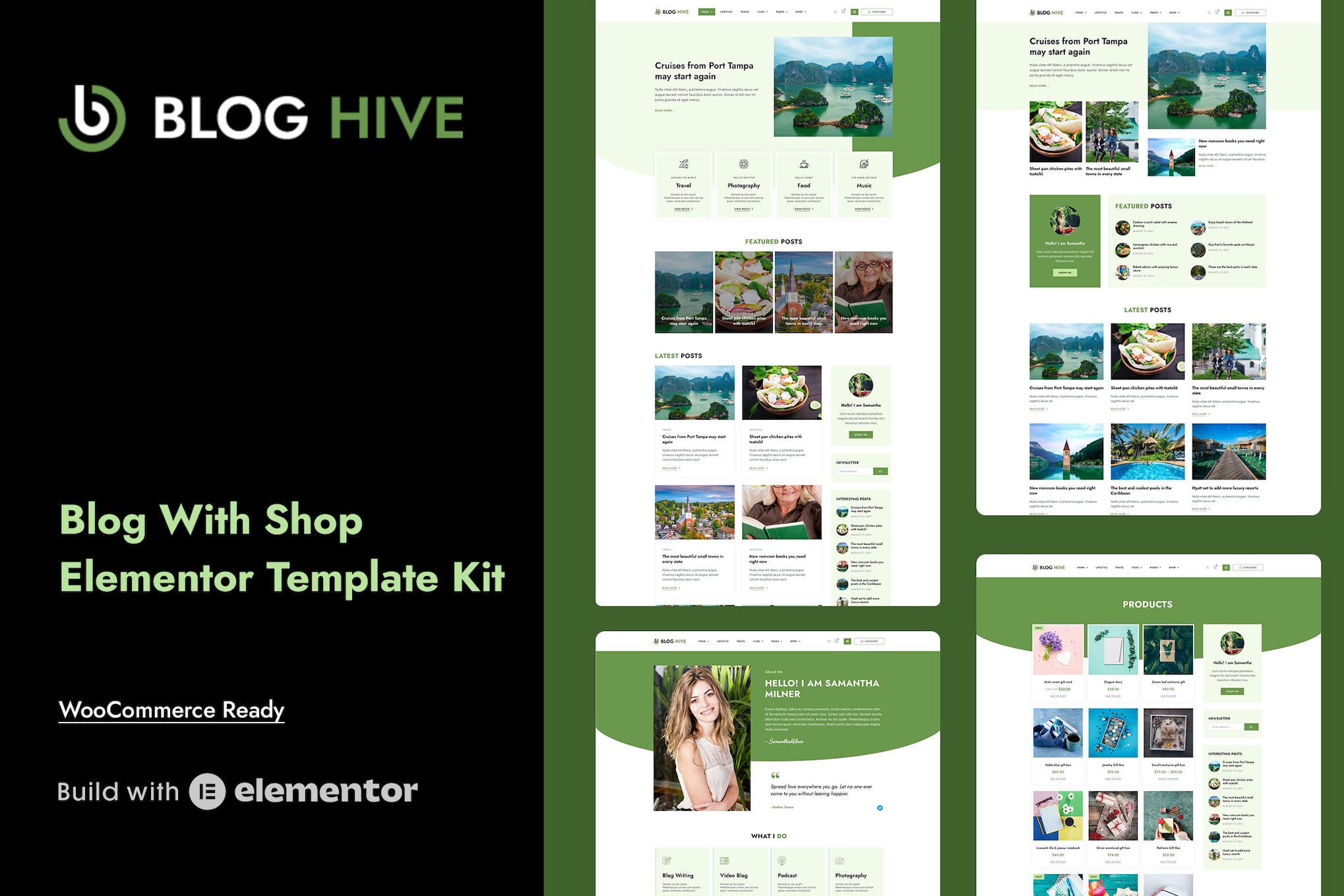 Blog Hive- Personal Blog Elementor Template Kit