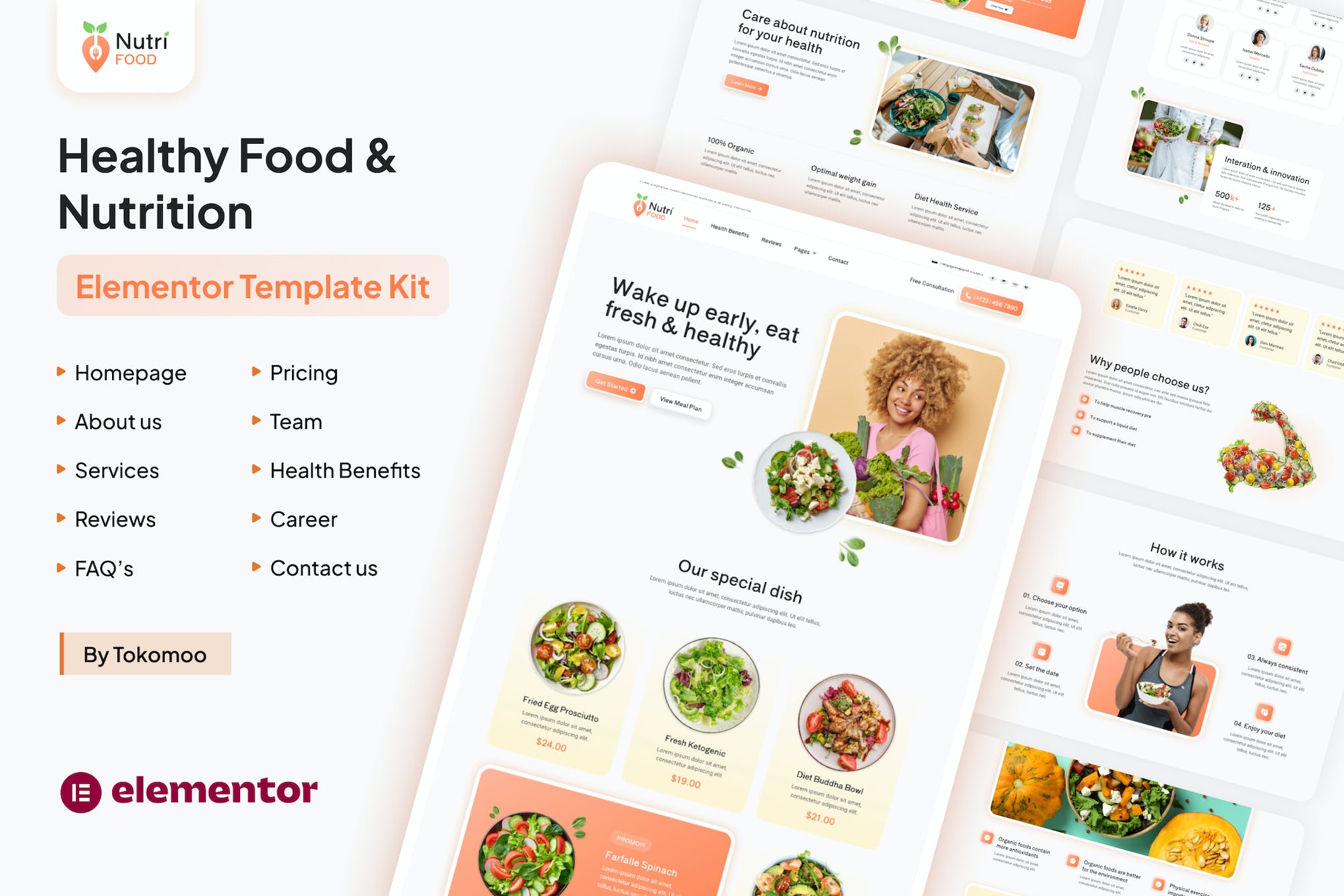 Nutri Food- Healthy Food and Nutrition Elementor Pro Template Kit