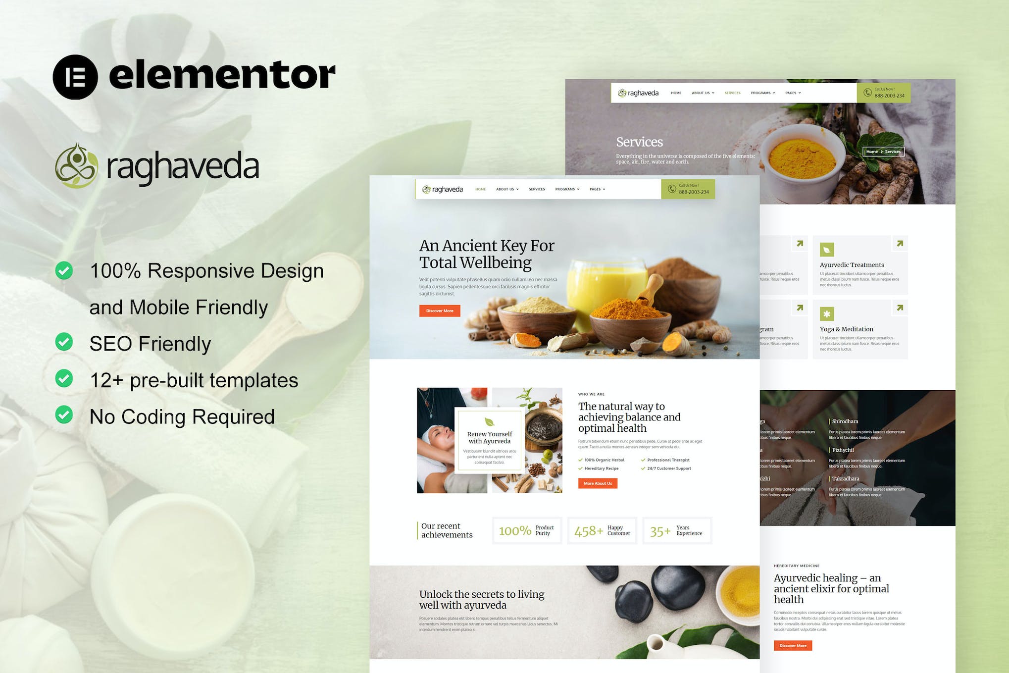 Raghaveda- Ayurveda Treatment and Spa Elementor Template Kit