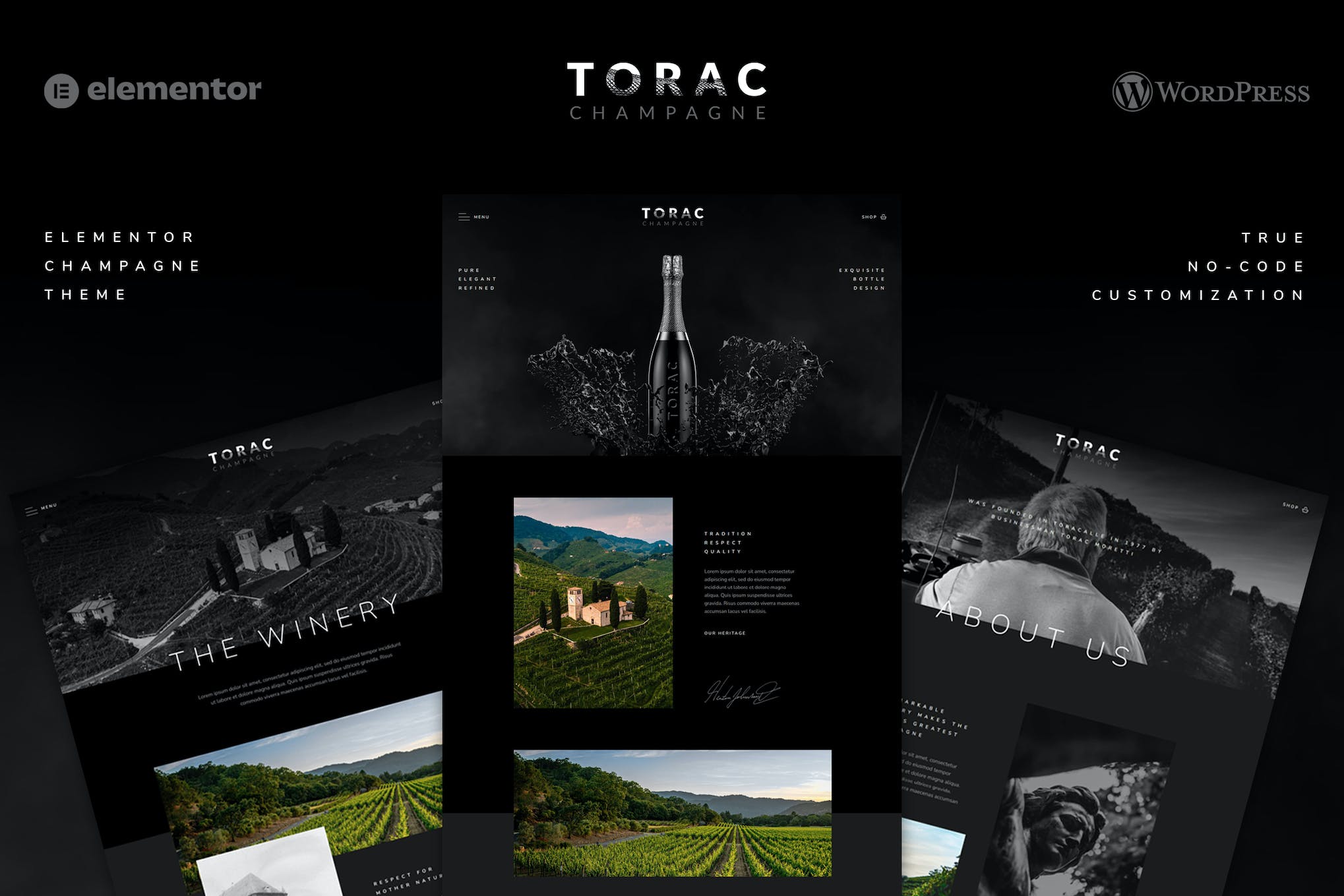 Torac- Champagne Elementor Template Kit