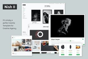 Nish II – Creative Joomla 4 Template