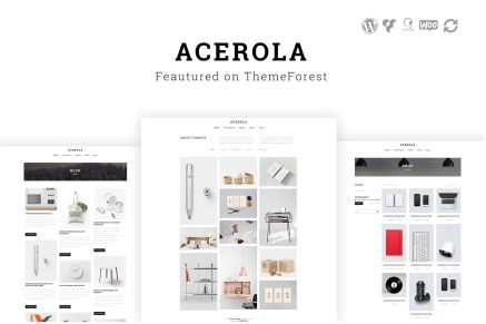 Acerola- Ultra Minimalist Agency 1.6.5 WordPress Theme