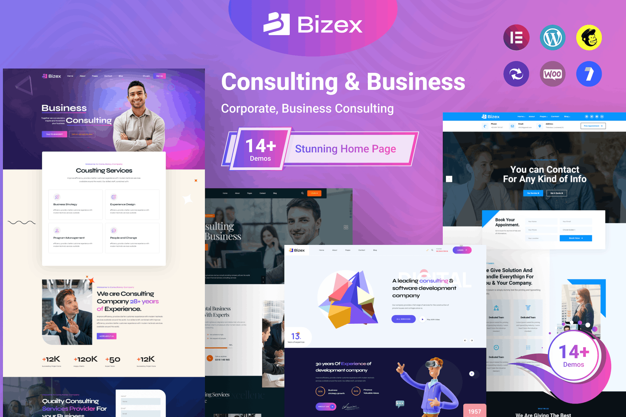 Bizex- Business Consulting 1.0.5 WordPress Theme