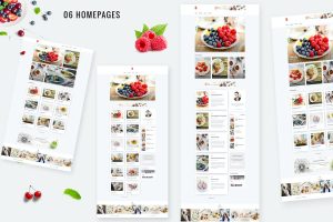 Bizi – A WordPress Theme for Food Bloggers