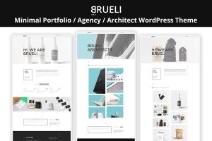 Brueli – Portfolio Agency Architect WordPress