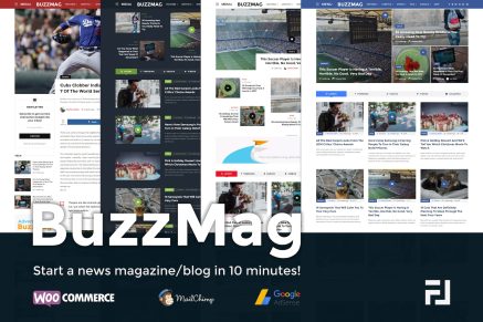 BuzzMag- Viral News Magazine/Blog 2.3 WordPress Theme