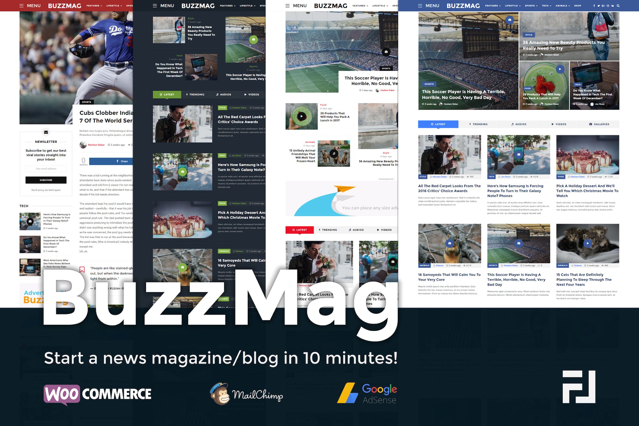 BuzzMag- Viral News Magazine/Blog 2.3 WordPress Theme