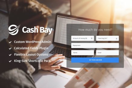 Cash Bay- Loan & Credit Money 1.2.0 WordPress Theme