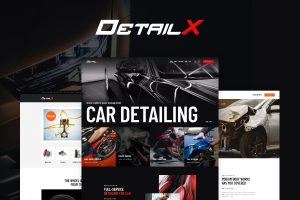DetailX WordPress Theme