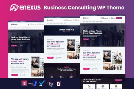 Enexus- Consulting Business Elementor 1.0 WordPress Theme