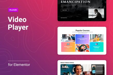 Flexible Video Player for Elementor 1.0.5