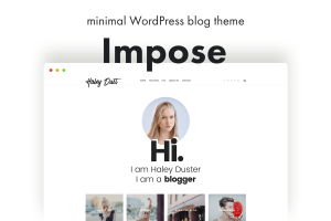 Impose Blog – A WordPress Blog Theme For Bloggers