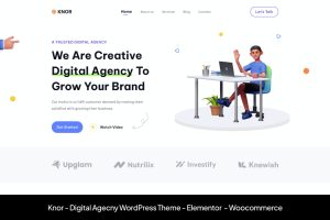 Knor – Digital Agecny WordPress Theme