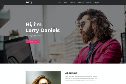 Larry - Personal WordPress Theme 1.0.2