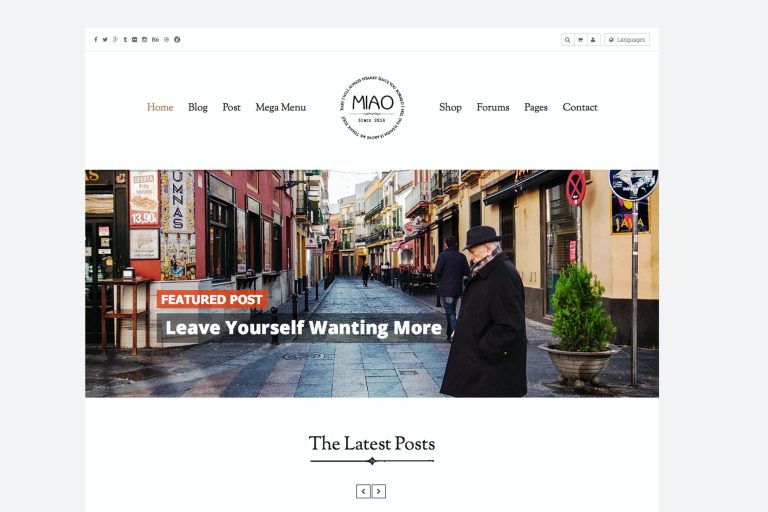 Miao – Clean Blog & Shop WordPress Theme