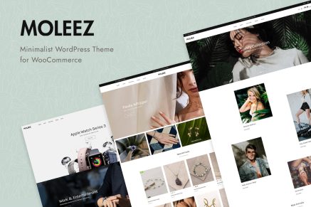 Moleez- Minimalist for WooCommerc 2.4.6 WordPress Theme