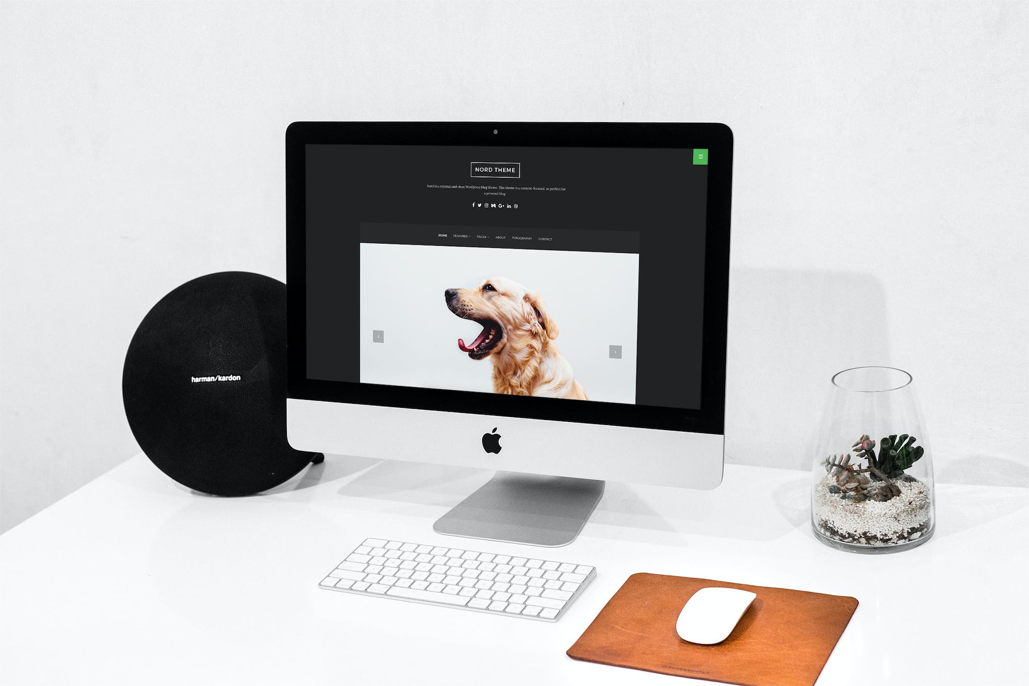 Nord- Minimal and Clean Blog 1.4.3 WordPress Theme