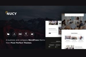 Nucy – Business & Company WordPress Theme