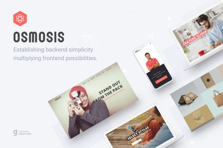 Osmosis- Responsive Multipurpose 4.5.5 WordPress Theme
