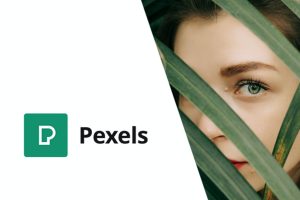 Pexels – Import Free Stock Images into WordPress
