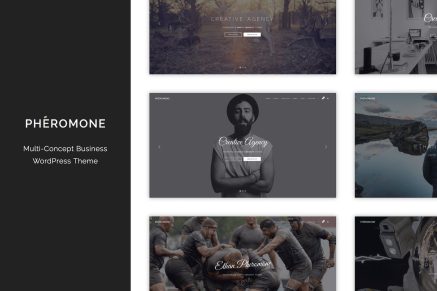 Pheromone - Creative Multi-Concept WordPress Theme 1.3.2