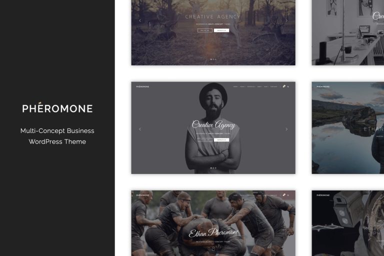 Pheromone – Creative Multi-Concept WordPress Theme