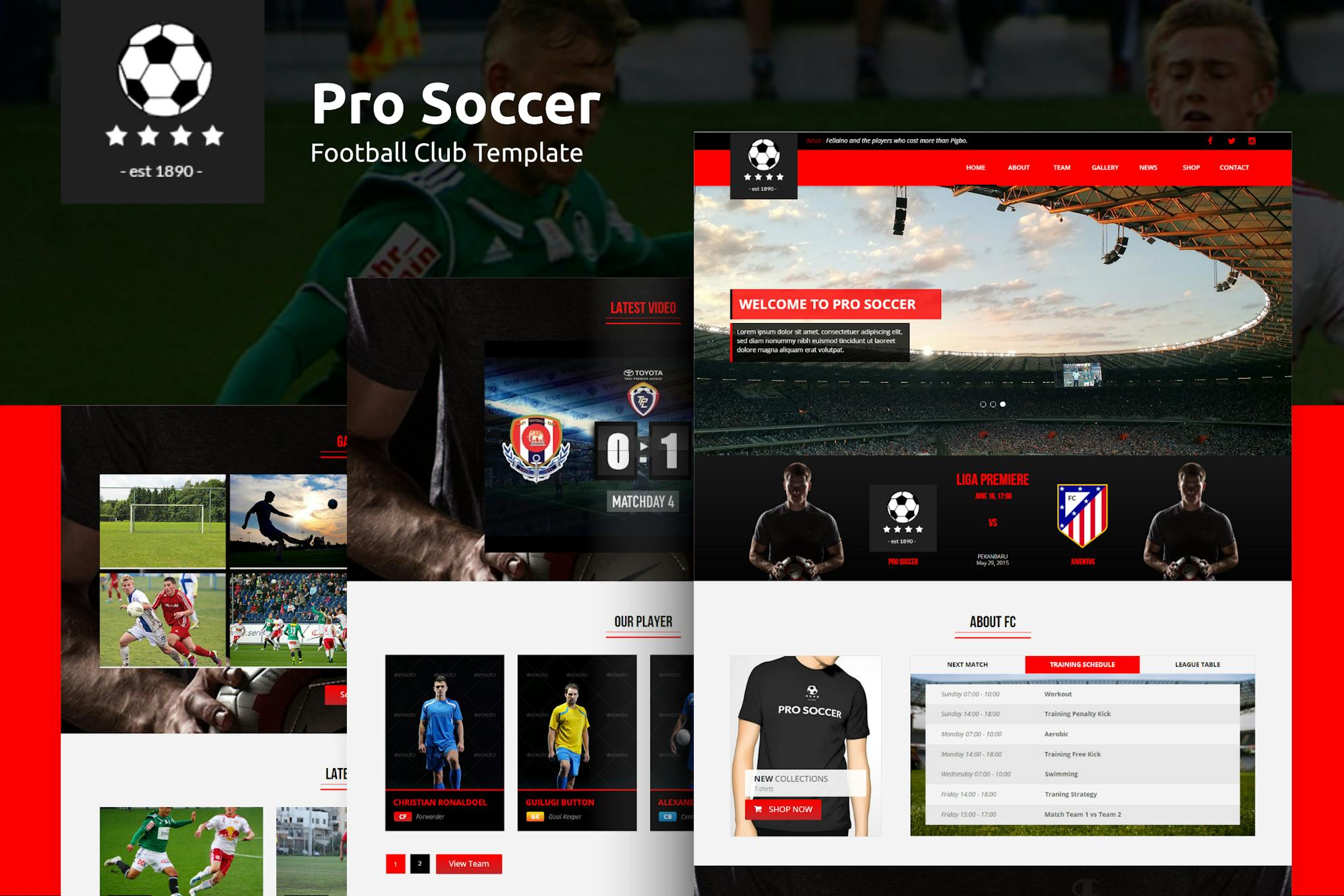 Pro Soccer - Football Club HTML Template