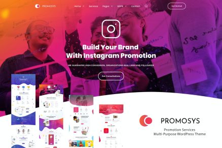 PromoSys Promotion Services 1.0.5 WordPress Theme