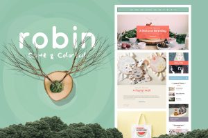 Robin – Cute & Colorful Blog Theme