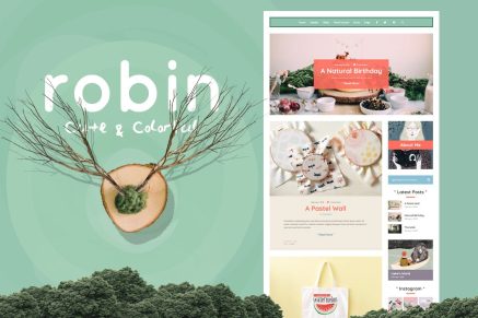 Robin- Cute & Colorful Blog 7.0.9 WordPress Theme