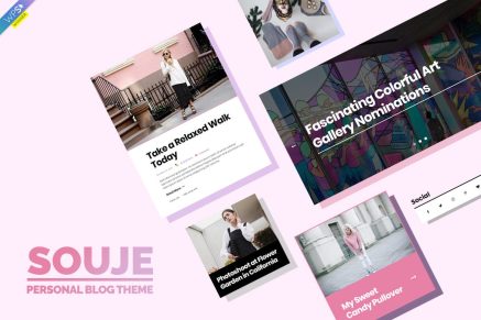 Souje- Personal Blog 5.0.9 WordPress Theme