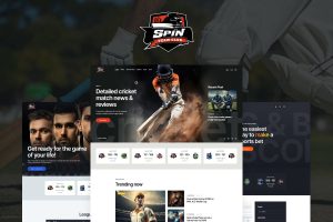 Spin WordPress Theme