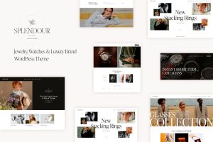 Splendour WordPress Theme