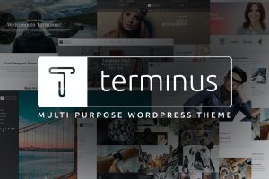 Terminus – Multi-Purpose WordPress Theme