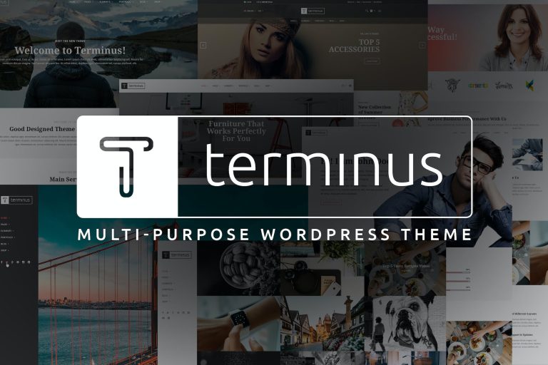Terminus – Multi-Purpose WordPress Theme