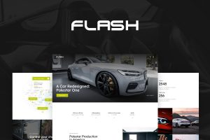 The Flash WordPress Theme