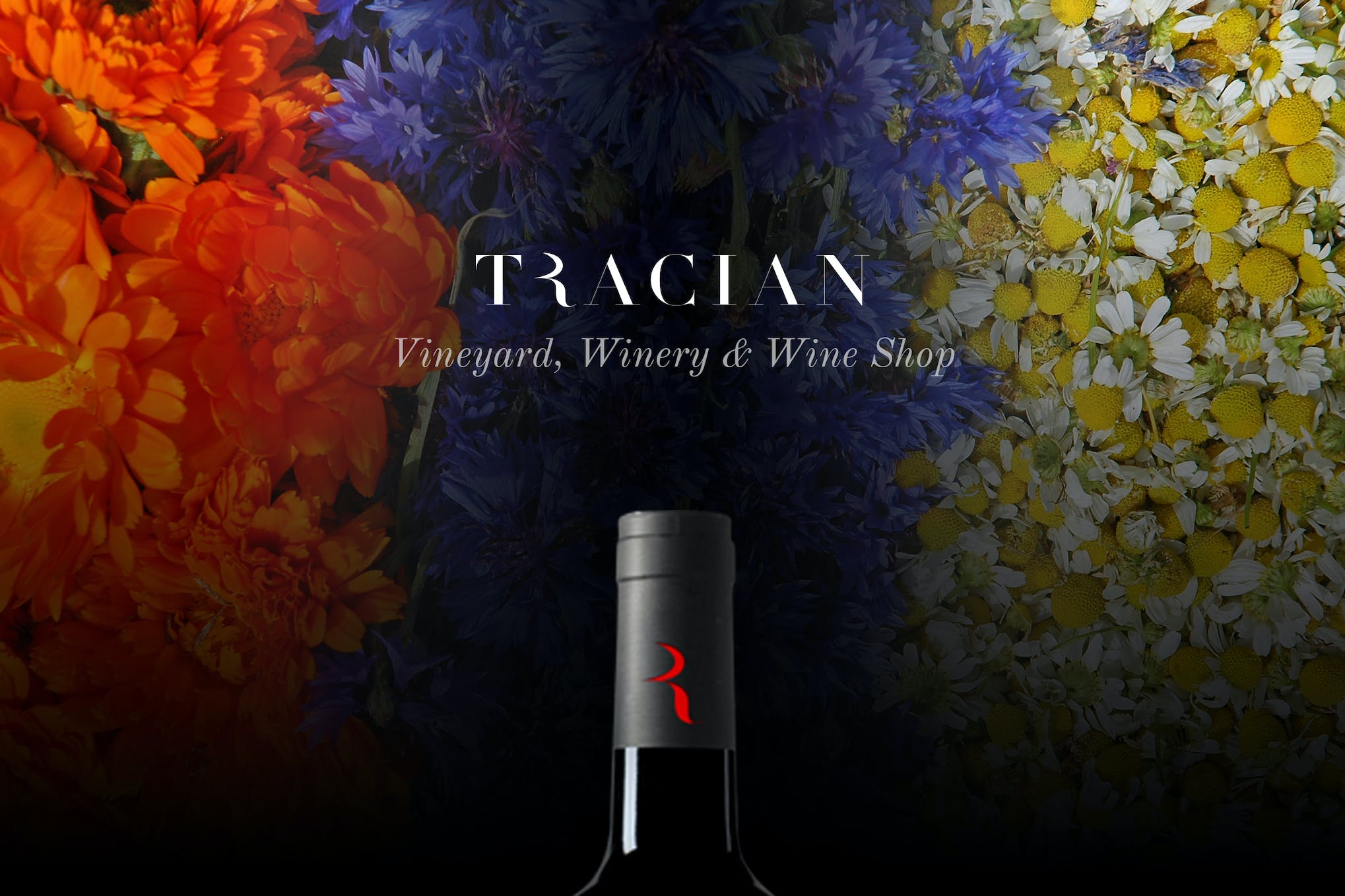 Tracian- Wine 1.7 WordPress Theme