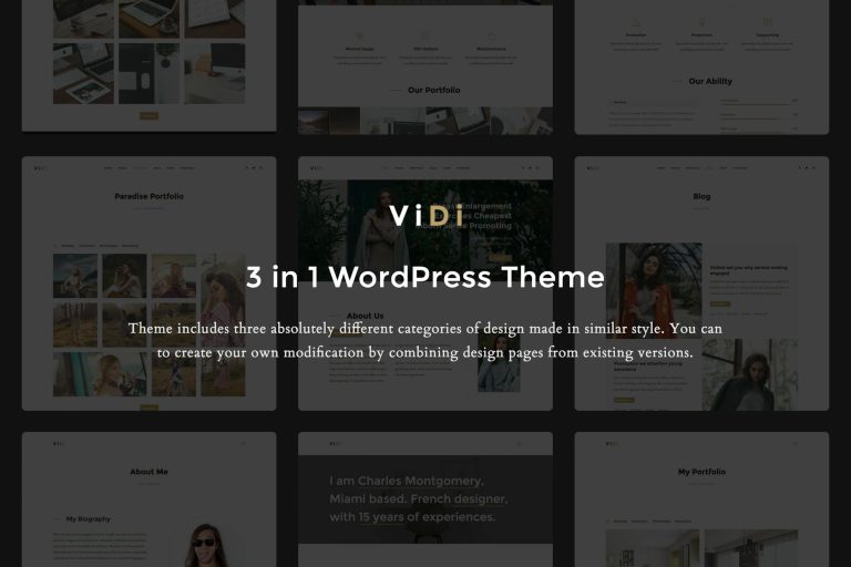 ViDi – in Creative WordPress Theme