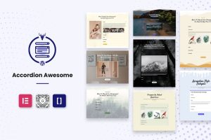 WordPress Accordion FAQ Plugin