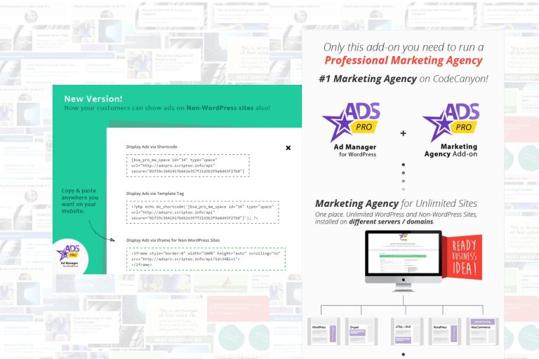 WordPress Marketing Agency – Ads Pro MA add-on