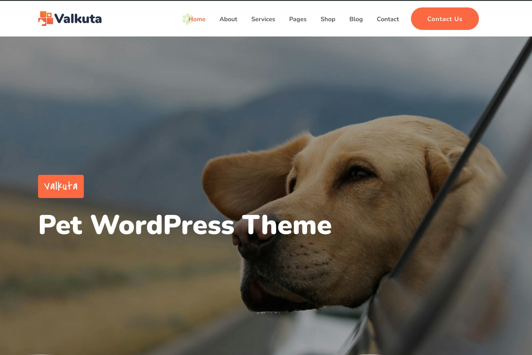 Valkuta - Pet 1.2.9 WordPress Theme