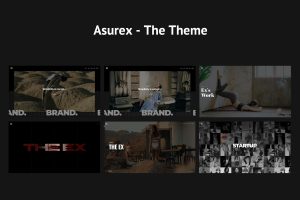 Asurex – WordPress Theme
