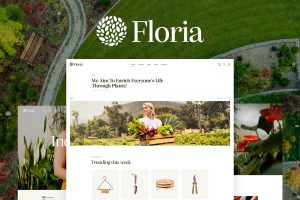 Floria WordPress Theme