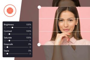 ProVision Image Editor for WordPress / WooCommerce